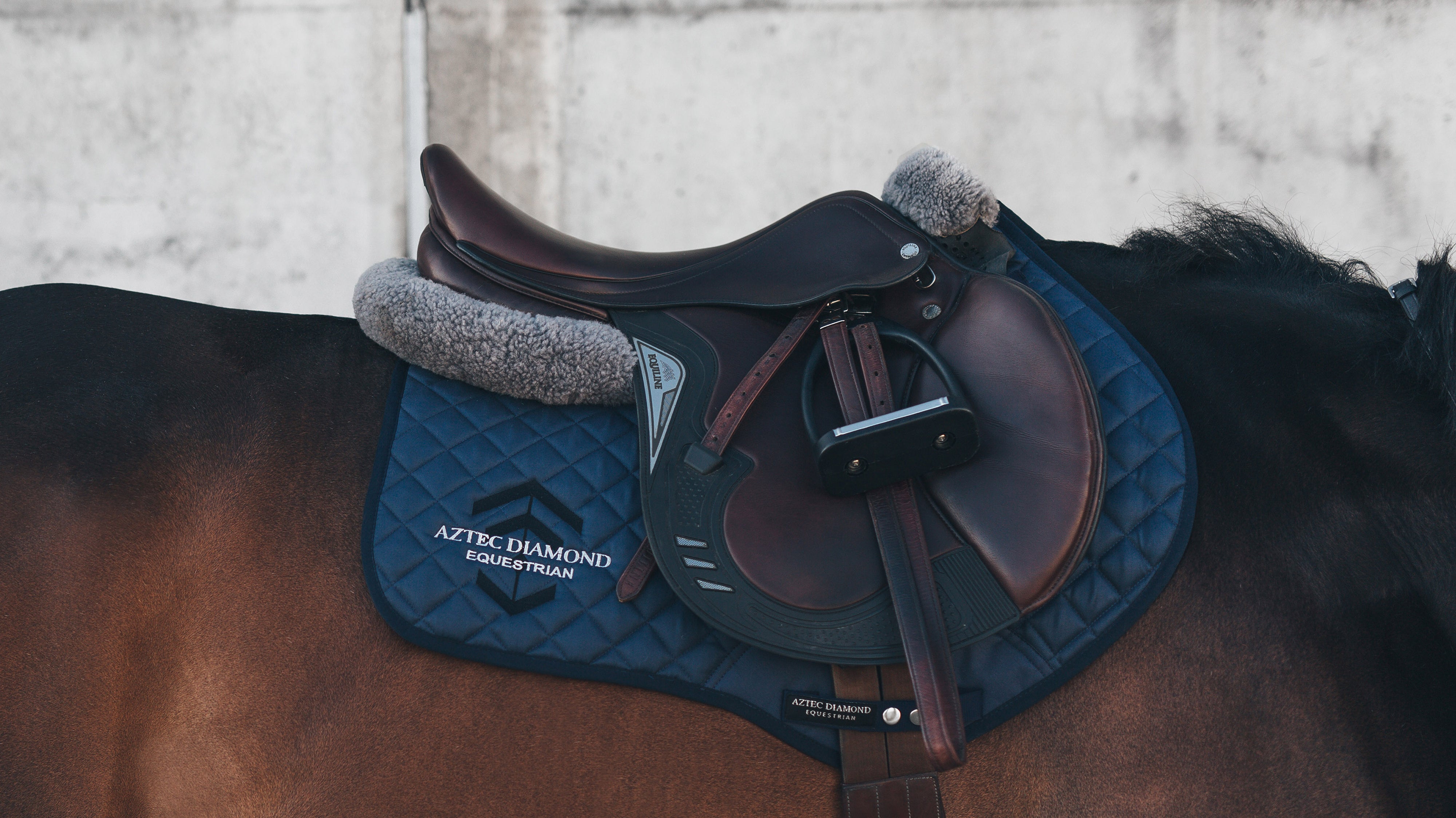 Aztec Diamond launch their first horse wear range!