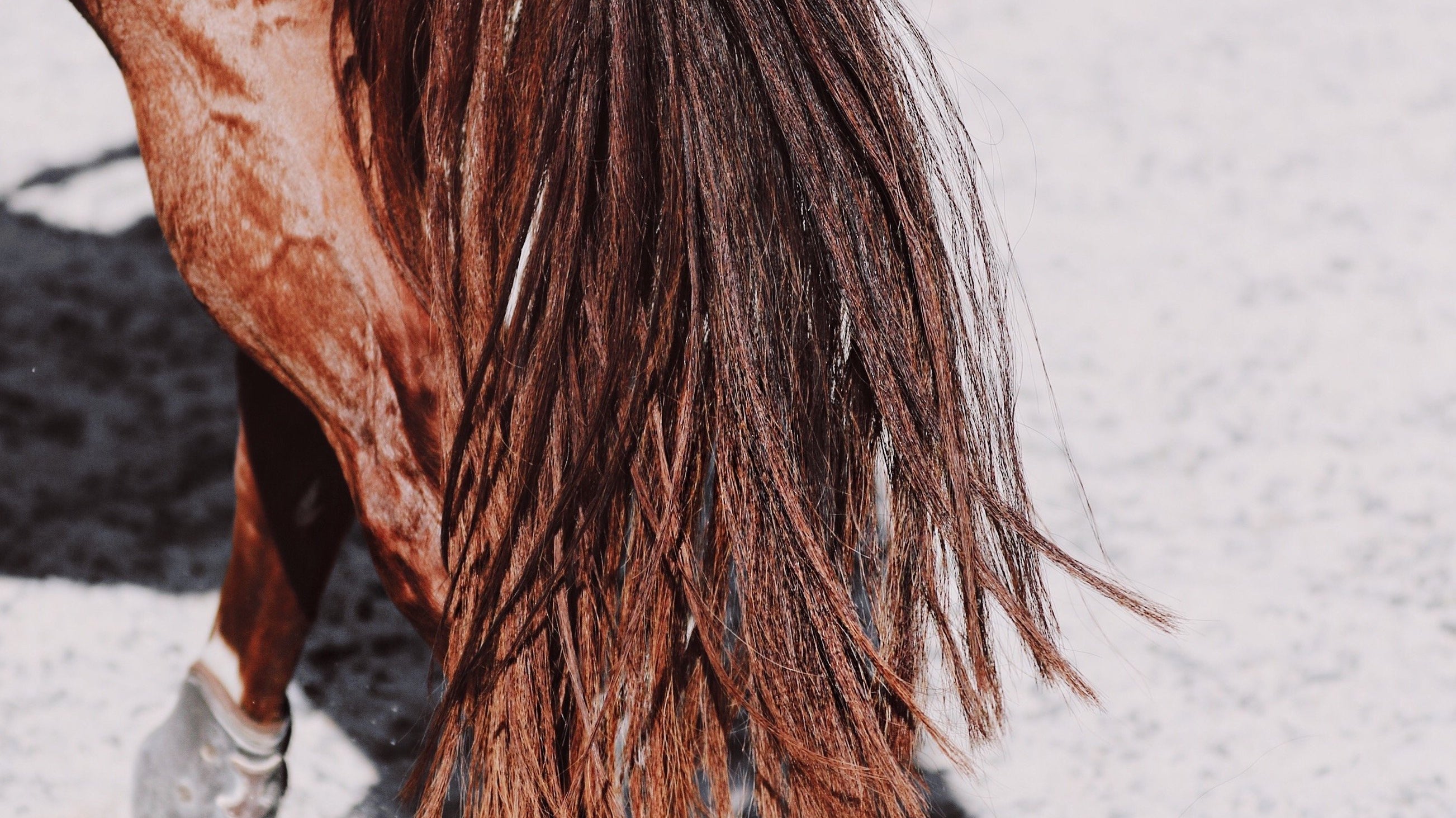 Making The Picture: What Inspires Ashley Grant