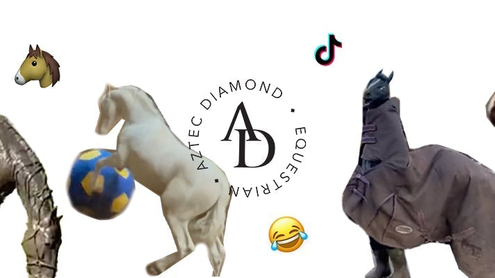 The Best Equestrian TikToks of 2022 So Far