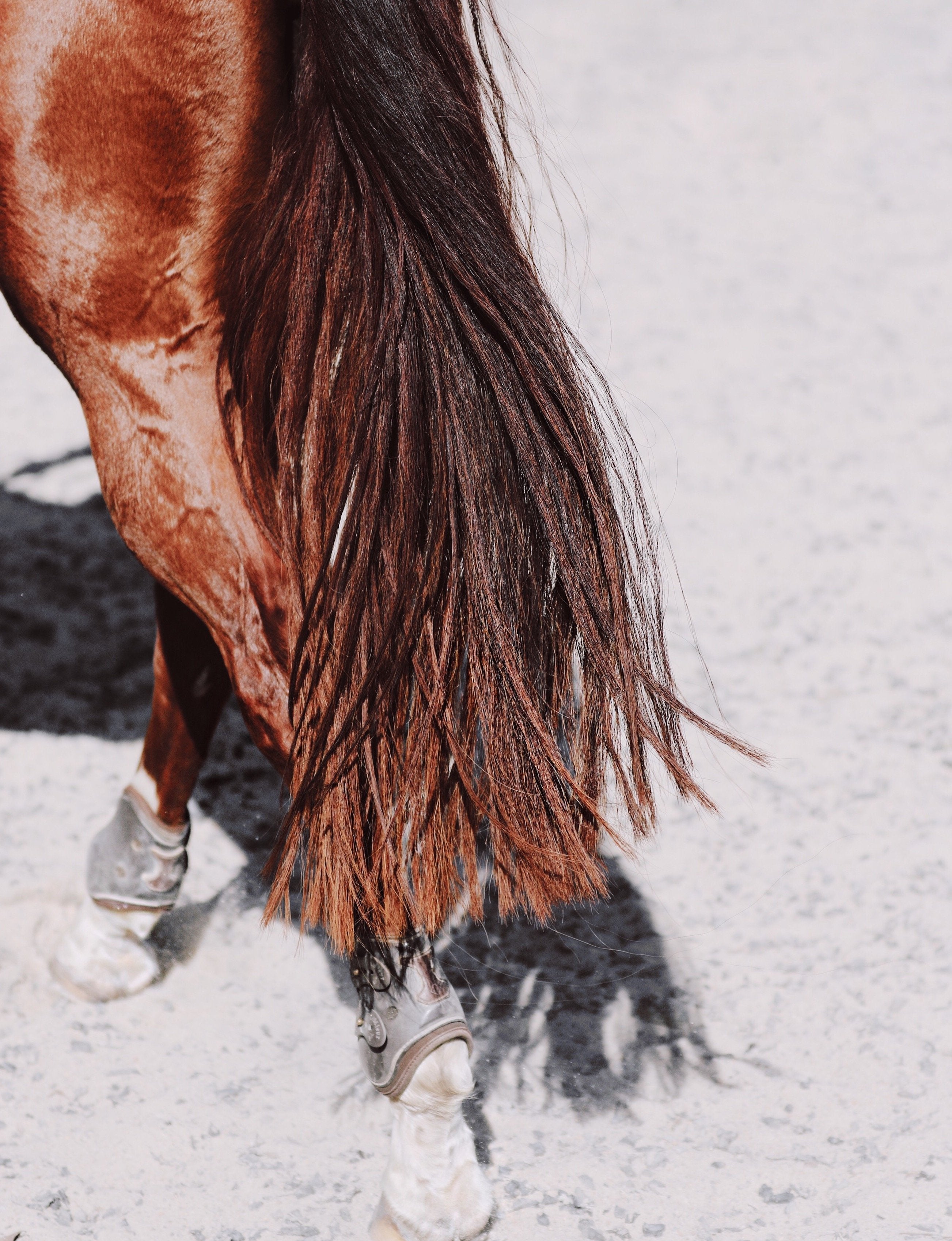 Making The Picture: What Inspires Ashley Grant