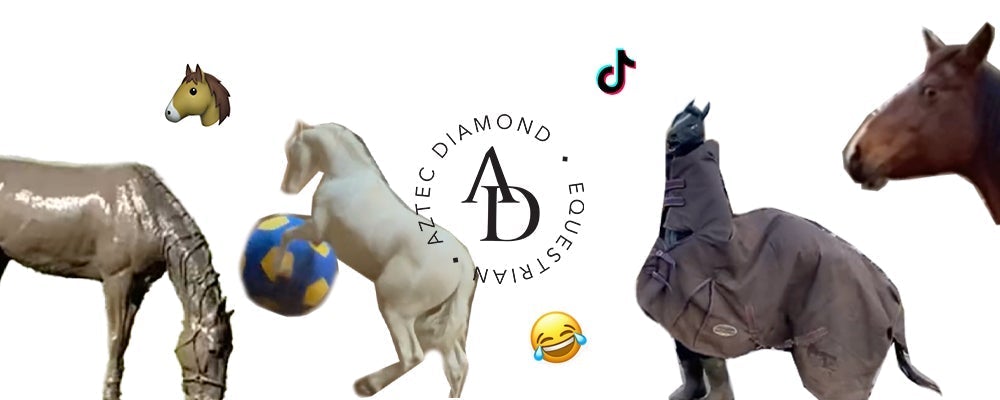 The Best Equestrian TikToks of 2022 So Far