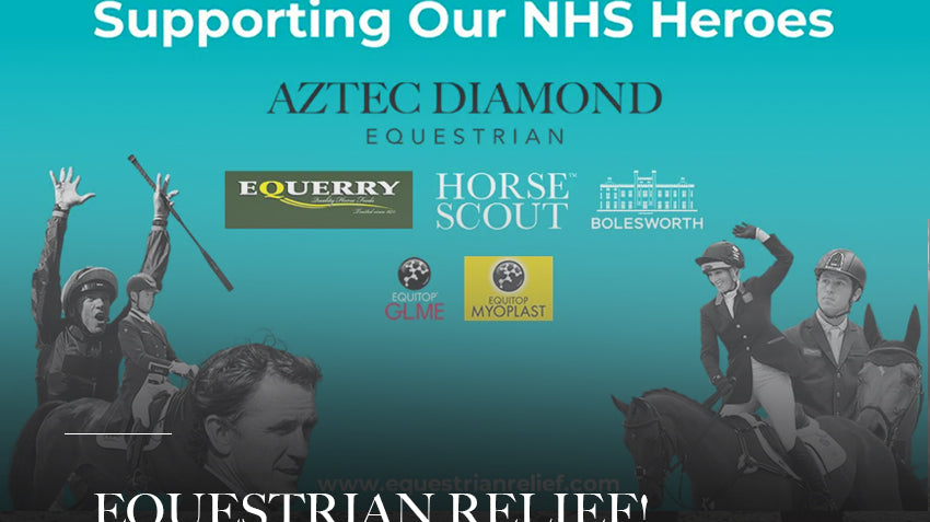 Helping NHS Heros with Equestrian Relief