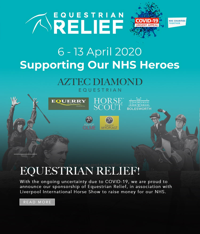 Helping NHS Heros with Equestrian Relief