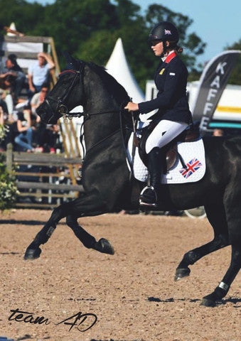 Jessica Hewitt - My 2015