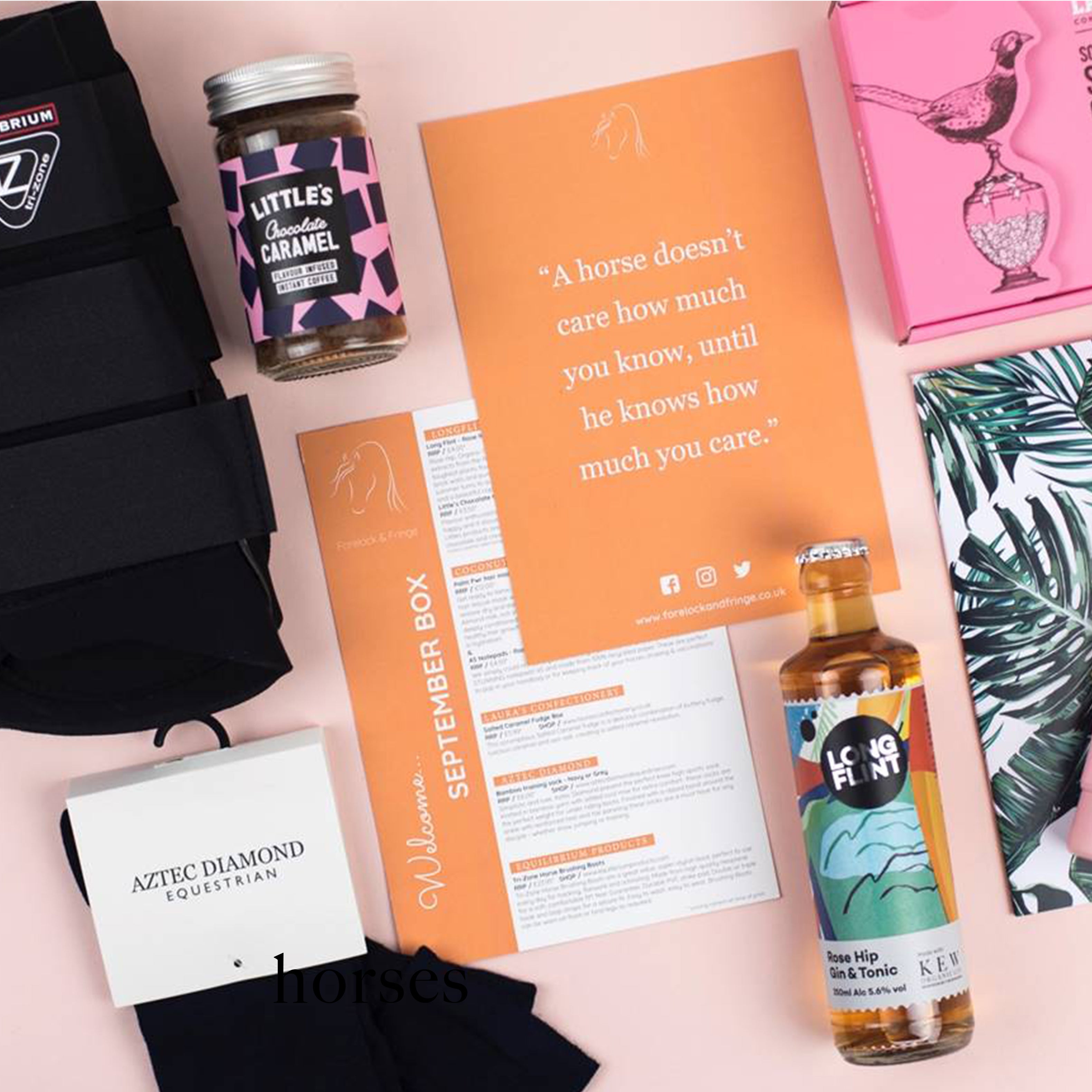 Forelock & Fringe: 5 questions about the must-have equestrian subscription box